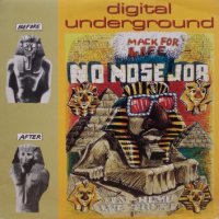 Digital Underground – No Nose Job