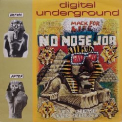 画像1: Digital Underground – No Nose Job