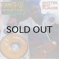 FUNKMASTER FLEX & THE GHETTO CELEBS / NUTTIN BUT FLAVOR