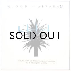 画像1: BLOOD OF ABRAHAM / VELVET GLOBE IRON FIST