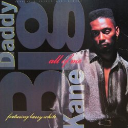 画像1: BIG DADDY KANE / ALL OF ME