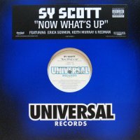 SY SCOTT / NOW WHAT'S UP