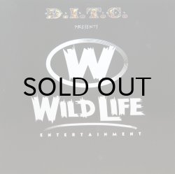 画像1: DITC Presents: WILD LIFE ENTERTAINMENT