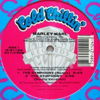 MARLEY MARL / THE SYMPHONY