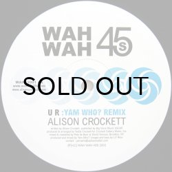 画像1: ALISON CROCKETT / UR（YAM WHO? REMIX）