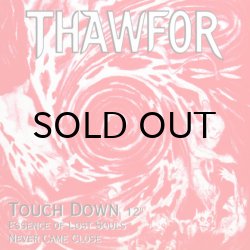 画像1: THAWFOR / TOUCH DOWN
