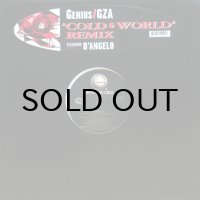 GENIUS/GZA / COLD WORLD - REMIX