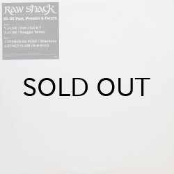 画像1: V.A. / RAW SHACK PRODUCTIONS: 95-00 PAST, PRESENT & FUTURE