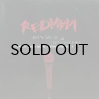 REDMAN / THAT'S HOW IT IS（IT'S LIKE THAT）