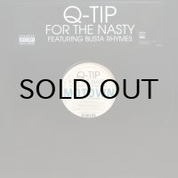 Q-TIP / FOR THE NASTY