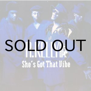 画像: R. KELLY AND PUBLIC ANNOUNCEMENT / SHE'S GOT THAT VIBE
