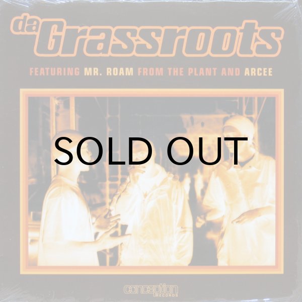 画像1: DA GRASSROOTS / THEMATICS