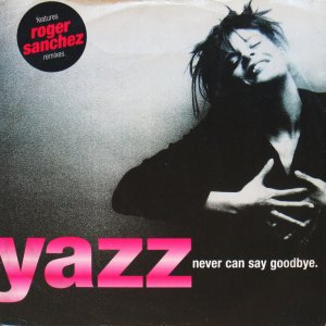 画像: YAZZ / NEVER CAN SAY GOODBYE