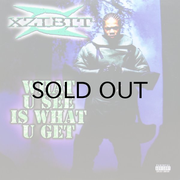 画像1: XZIBIT / WHAT U SEE IS WHAT U GET