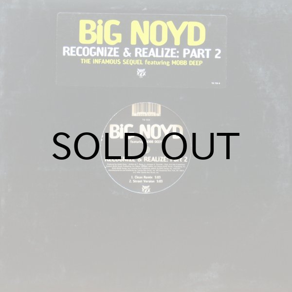 画像1: BIG NOYD / RECOGNIZE & REALIZE