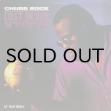 画像: CHUBB ROCK / LOST IN THE STORM