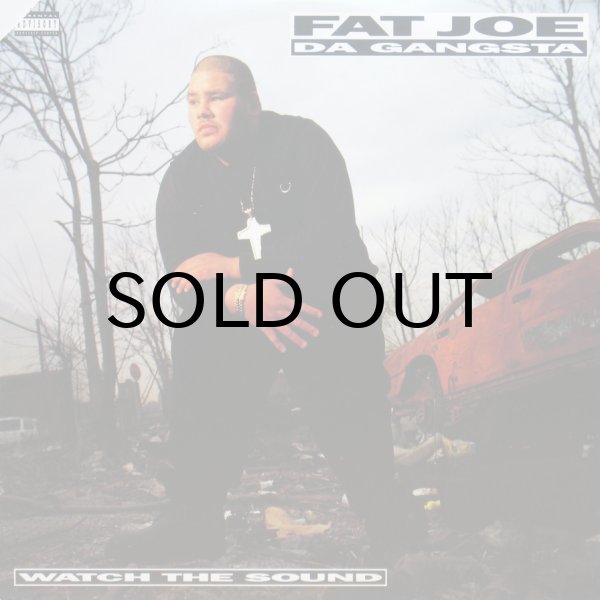 画像1: FAT JOE / WATCH THE SOUND