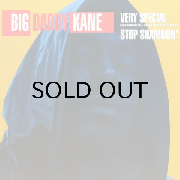 画像1: BIG DADDY KANE / VERY SPECIAL