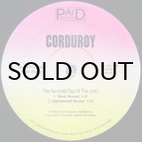 画像: CORDUROY / THE GENERAL（TOP OF THE LINE）