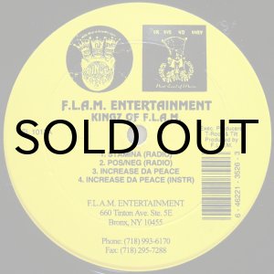 画像: KINGZ OF F.L.A.M. / STAMINA