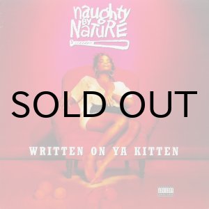 画像: NAUGHTY BY NATURE / WRITTEN ON YA KITTEN