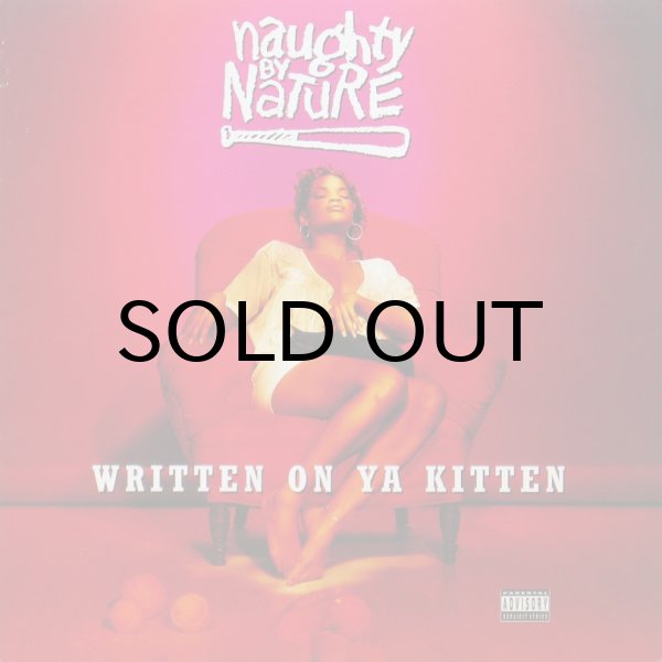 画像1: NAUGHTY BY NATURE / WRITTEN ON YA KITTEN