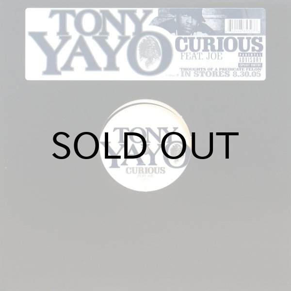 画像1: TONY YANO / CURIOUS