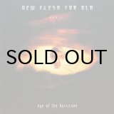 画像: NEW FLESH FOR OLD / EYE OF THE HURRICANE