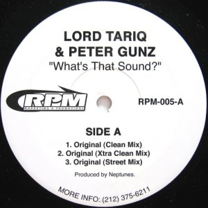 画像: LORD TARIQ & PETER GUNZ / WHAT'S THAT SOUND?