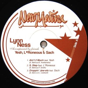 画像: Lynn Ness - Ain't 2 Much