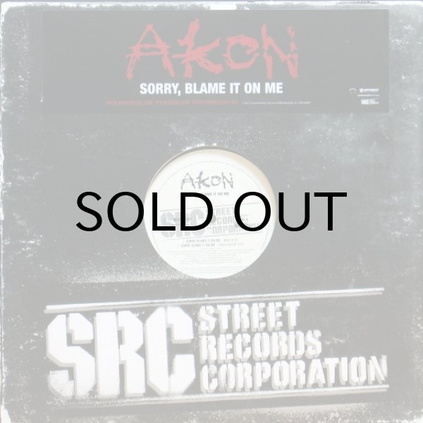 画像1: Akon / Sorry, Blame It On Me