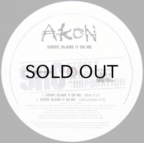 画像2: Akon / Sorry, Blame It On Me