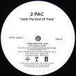 画像2: 2pac / Until The End Of Time