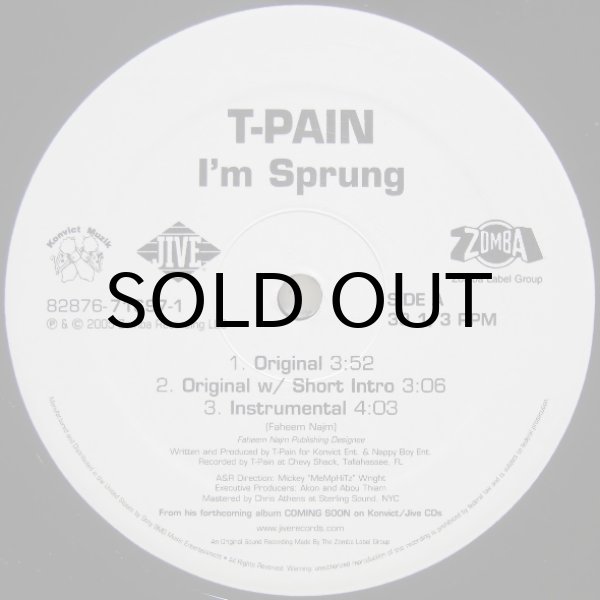 画像2: T-Pain - I'm Sprung