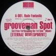 画像2: Grooveman Spot ‎– Eternal Development EP2