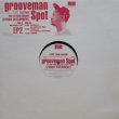 画像1: Grooveman Spot ‎– Eternal Development EP2