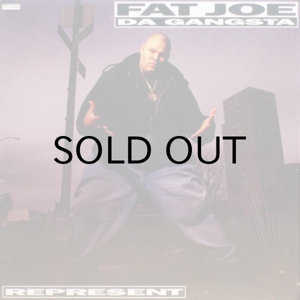 画像1: Fat Joe - Represent