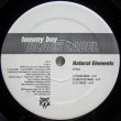 画像1: Natural Elements – 2 Tons / Live It Up