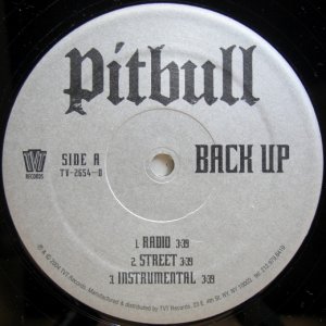画像: Pitbull - Back Up