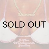 画像: J-Live / Wordsworth / Soulive – Bosoms