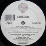 画像: Bush Babees – The Love Song (The Remix)