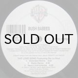 画像: Bush Babees – The Love Song (The Remix)