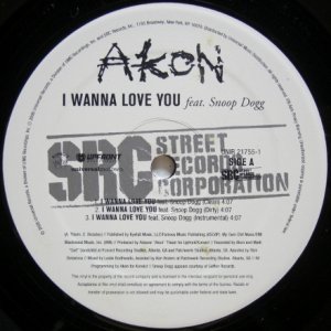 画像: Akon feat. Snoop Dogg – I Wanna Love You