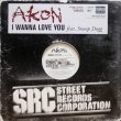 画像2: Akon feat. Snoop Dogg – I Wanna Love You