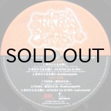 画像: Shakkazombie – 手のひらを太陽に