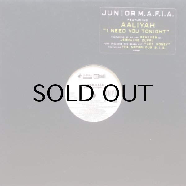 画像2: Junior M.A.F.I.A. featuring Aaliyah – I Need You Tonight