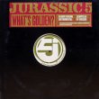 画像2: Jurassic 5 – What's Golden?