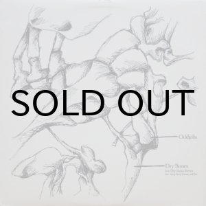 画像: Oddjobs – Dry Bones