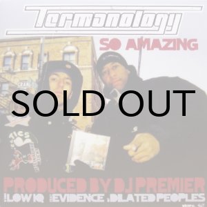 画像: Termanology – So Amazing / Low IQ
