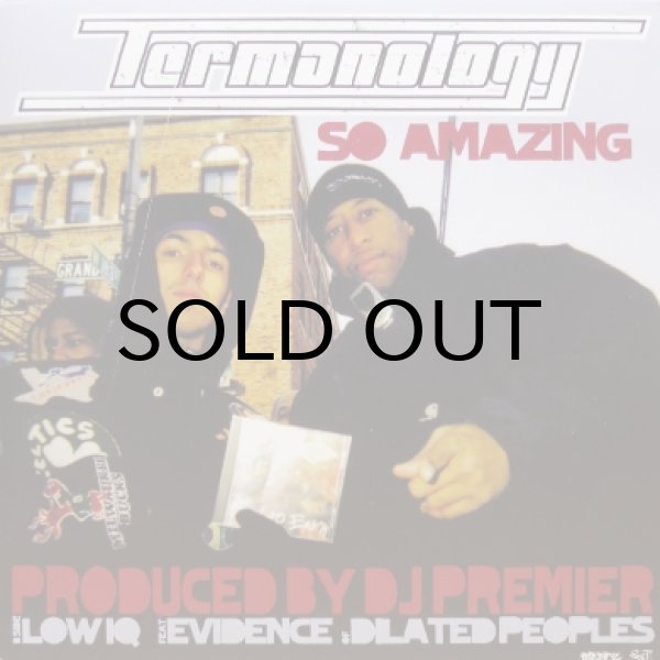 画像1: Termanology – So Amazing / Low IQ